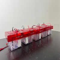 Invitrogen XCell4 Surelock Midi-Cells - Quantity 4 image 0